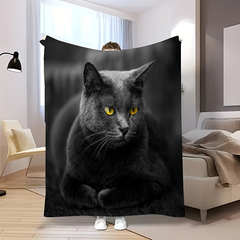아늑한 고화질 사랑스러운 파란색 고양이 프린트 플란넬  - Home Textiles Definition 리뷰 및 가격