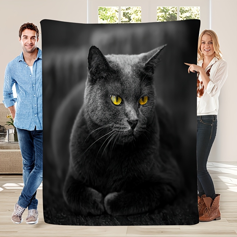 아늑한 고화질 사랑스러운 파란색 고양이 프린트 플란넬  - Home Textiles Definition 리뷰 및 가격