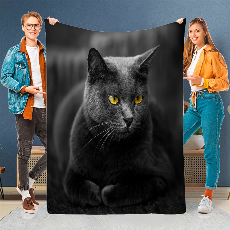 아늑한 고화질 사랑스러운 파란색 고양이 프린트 플란넬  - Home Textiles Definition 리뷰 및 가격
