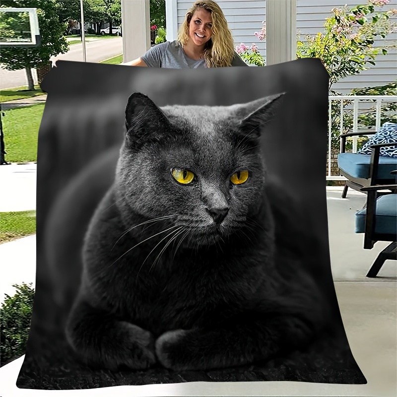아늑한 고화질 사랑스러운 파란색 고양이 프린트 플란넬  - Home Textiles Definition 리뷰 및 가격